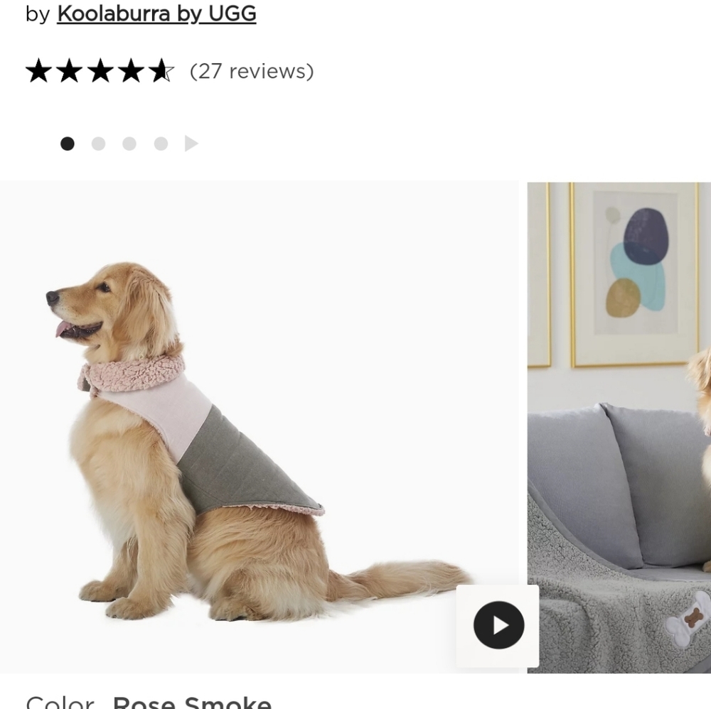 Dog Vest/Jacket